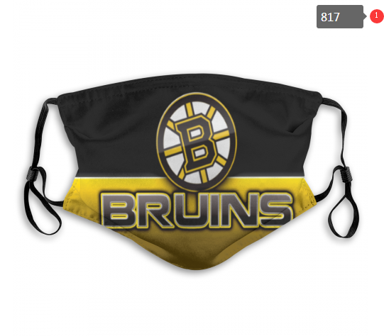 NHL Boston Bruins #4 Dust mask with filter